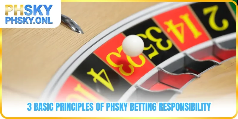 3 sasic principles of PHSKY Betting Responsibility