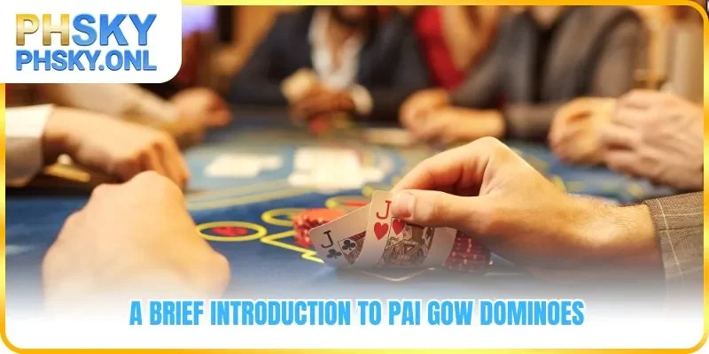 A brief introduction to Pai Gow Dominoes