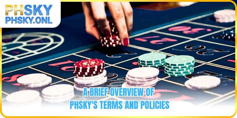 A brief overview of PHSKY's terms and policies