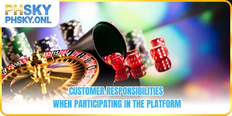 Customer responsibilities when participating in the platform