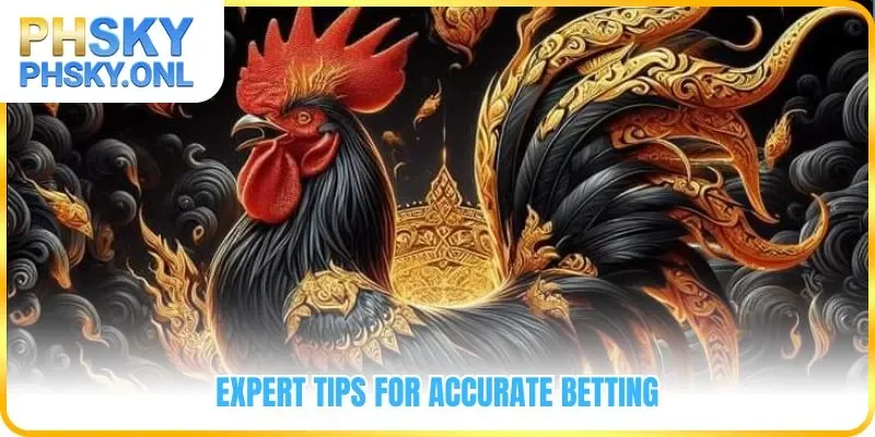 Expert tips for accurate betting