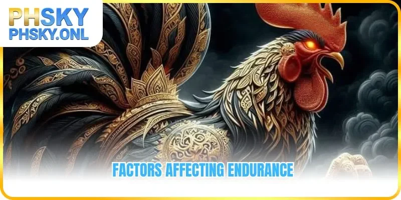 Factors affecting endurance