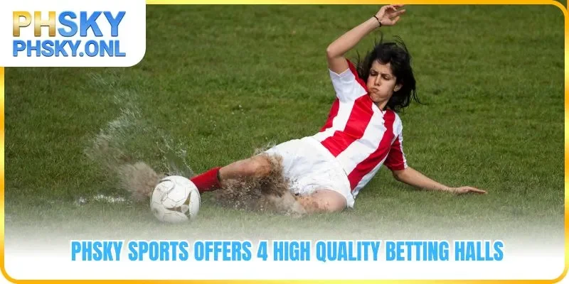 PHSKY Sports offers 4 high quality betting halls