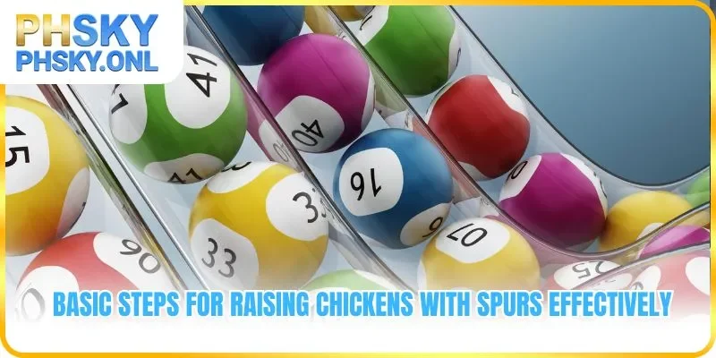 Top highlights that create irresistible appeal